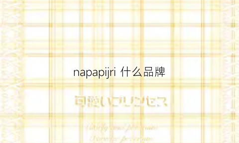 napapijri什么品牌(napapijiri是什么品牌)